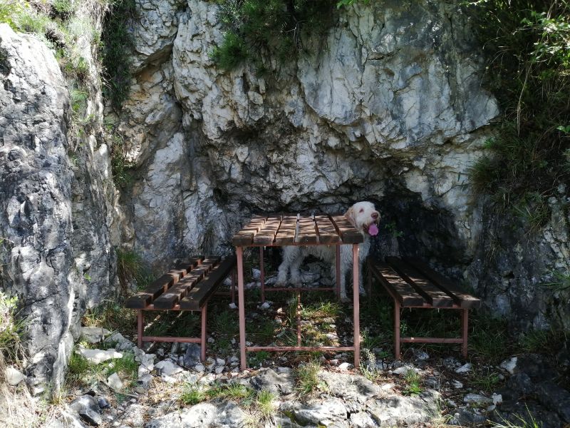 calura verso Col Moschin