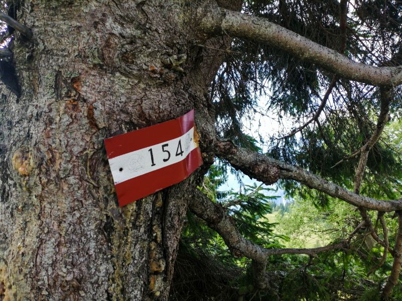 sentiero 154 verzo Zoufplan e Monte Terzo