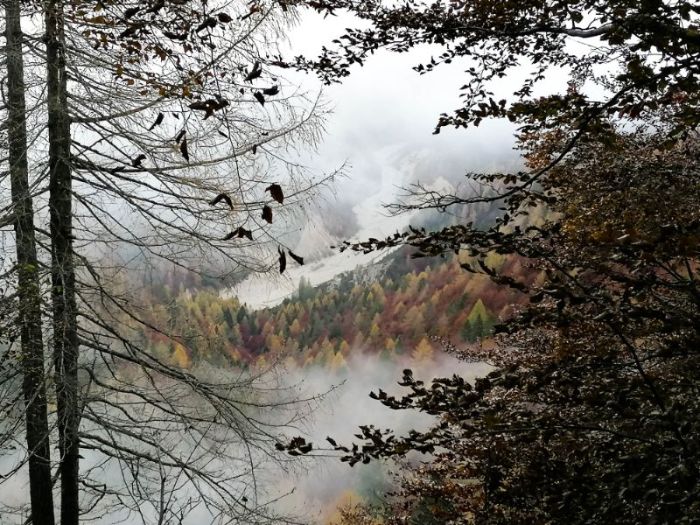 Scorci d'autunno lungo l'anello della Val Zemola
