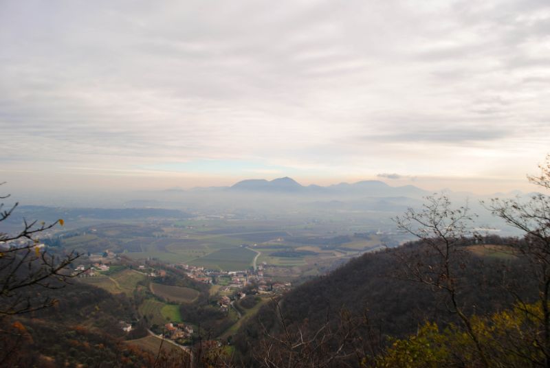 Panorama dai Colli Berici