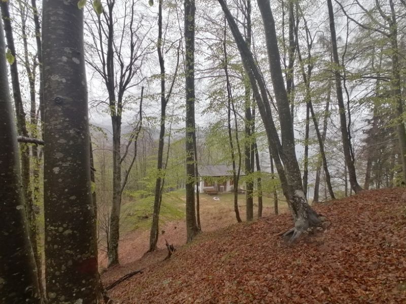 BIvacco Le Mandre appare dai boschi