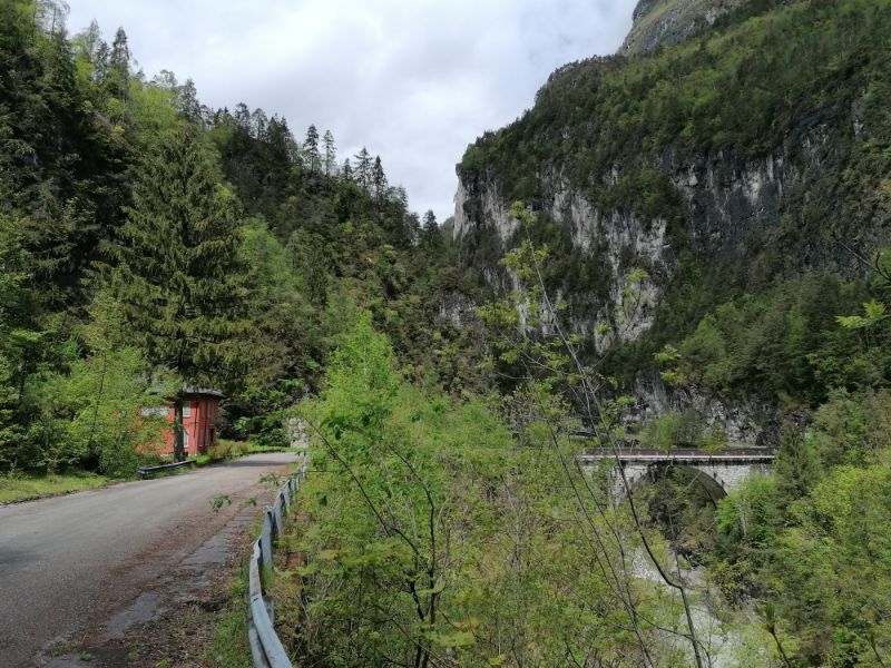 La tajada si San Martino