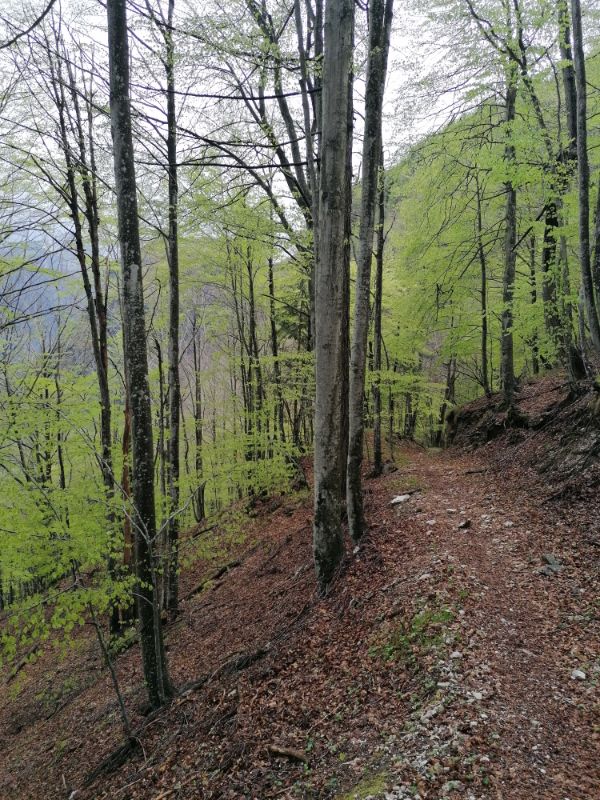 Salendo al bivacco Le Mandre