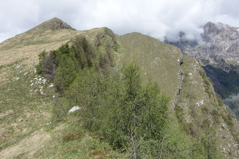 Cima dello Zimon del Terne in lontananza