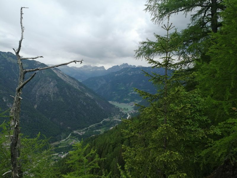 vista sul Lago di Alleghe
