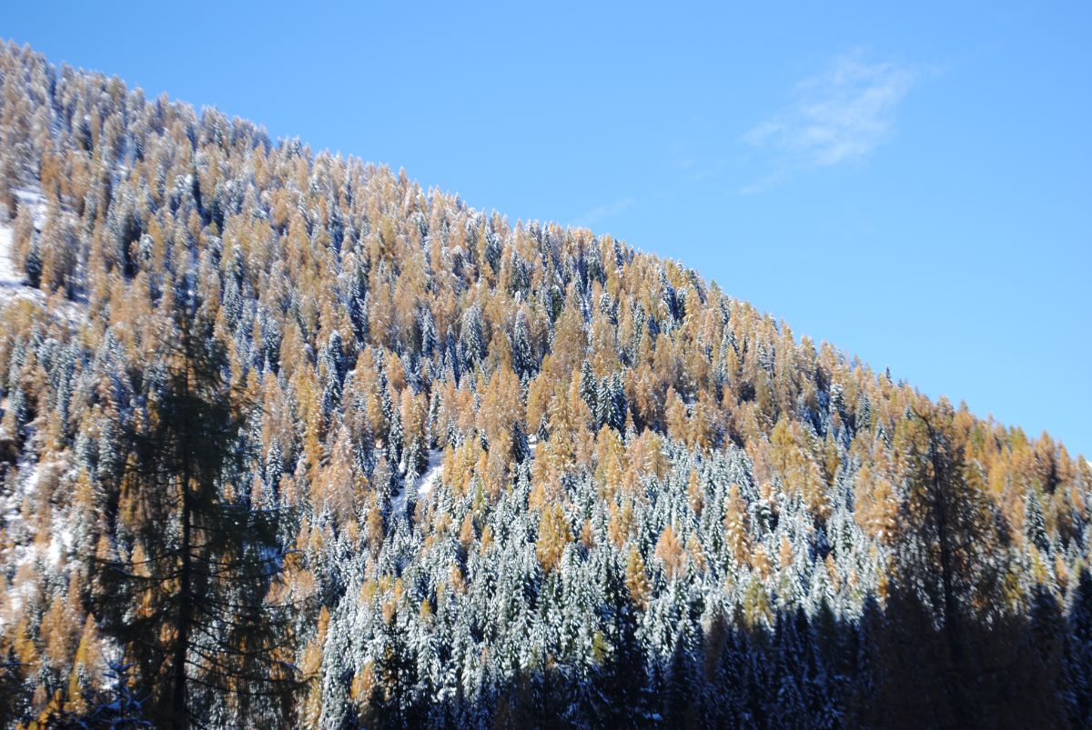 autunno e inverno nelle Dolomiti agordine