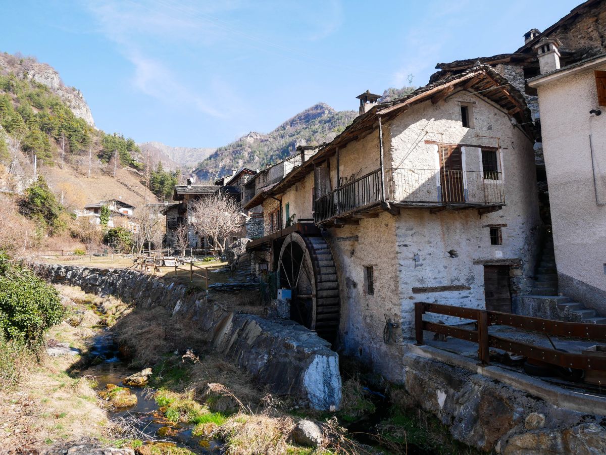 sentiero dei ciclamini di Macra