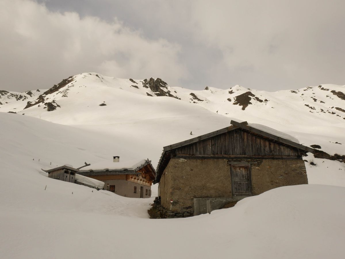 Malga Joggelealm