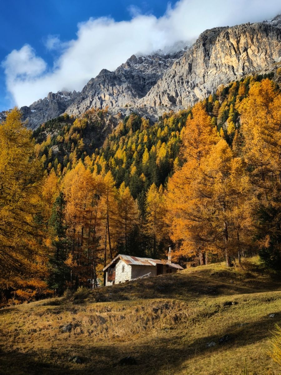 Val Zebru in Valtellina, foliage autunnale