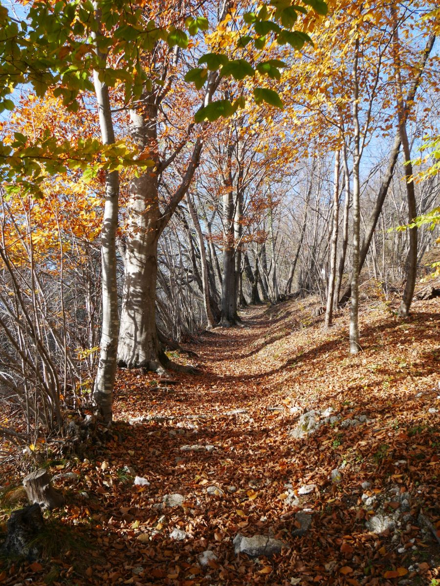 Giro ad anello: Moggio, Stavoli e Moggessa