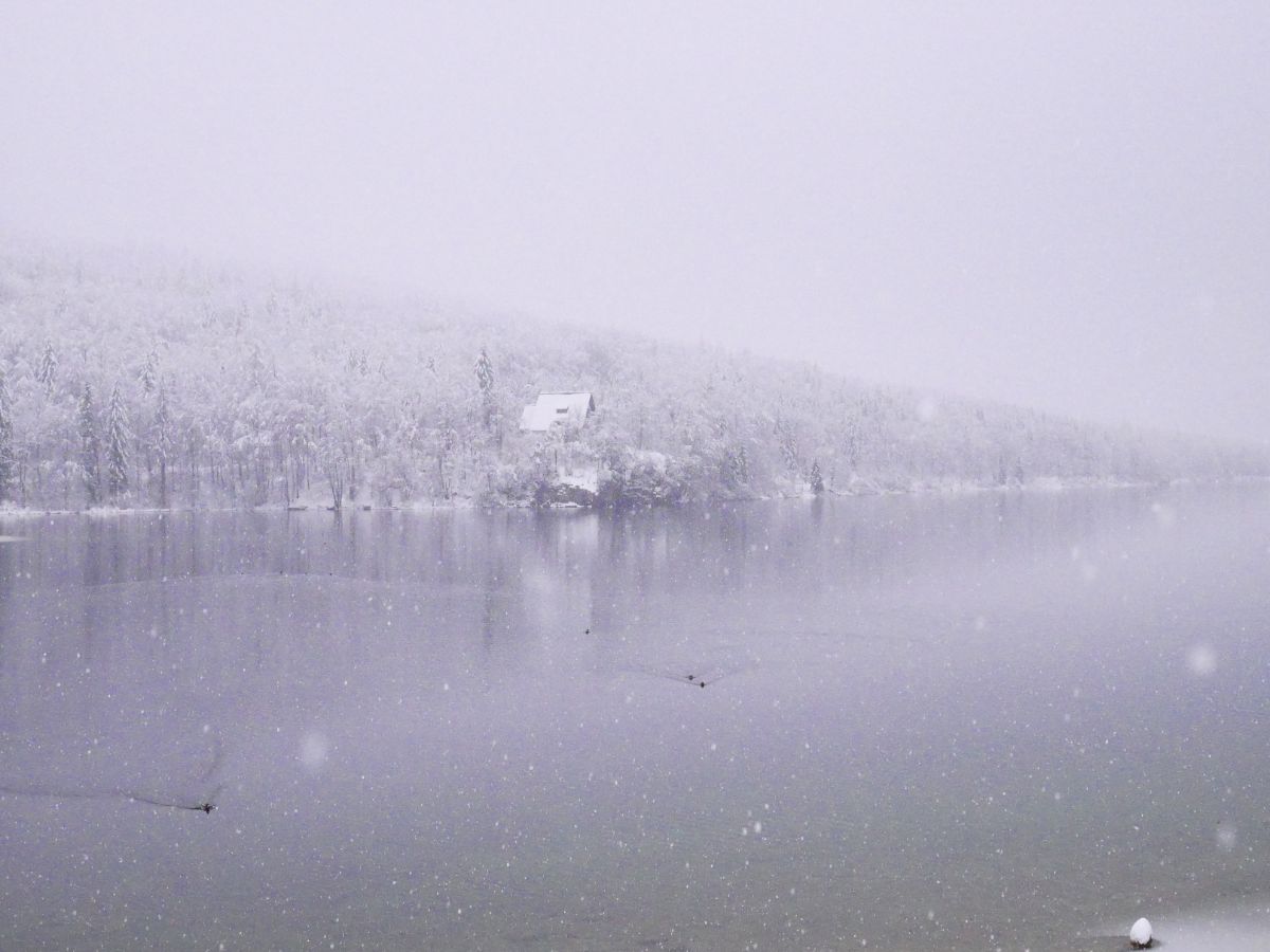 Lago Bohinj inverno