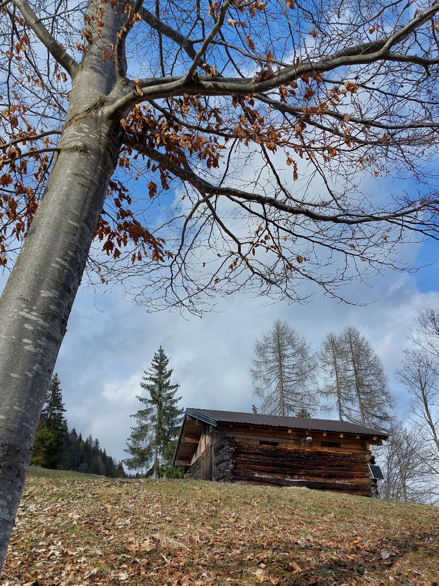 Scendendo per l'anello