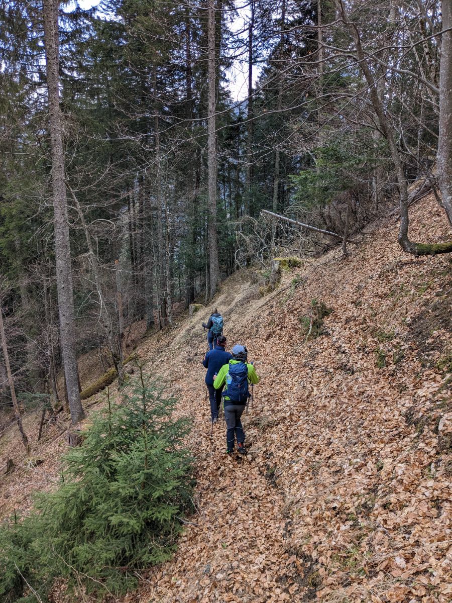 traccia per Praciadelan