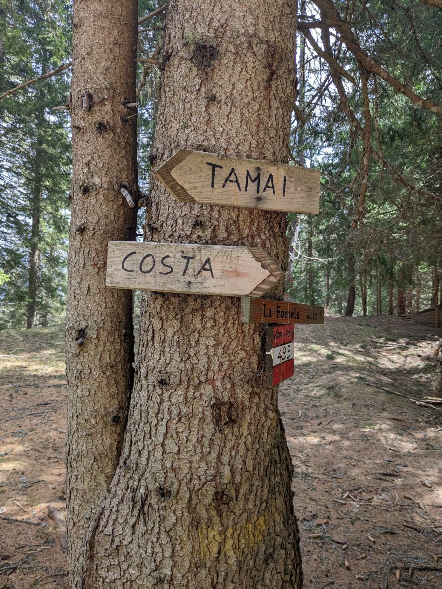 escursione al Monte Ponta val di Zoldo