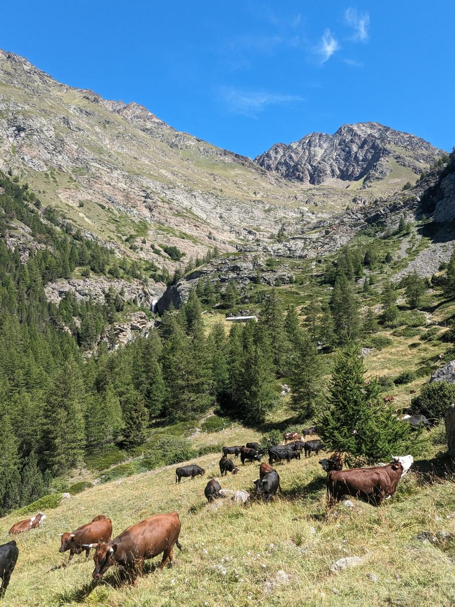 escursione Val di Cogne