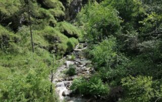 sentiero di Val Falcina