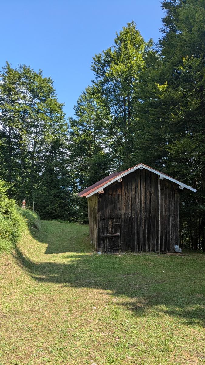 sentiero-intrecci-del-tempo sentiero intrecci del tempo