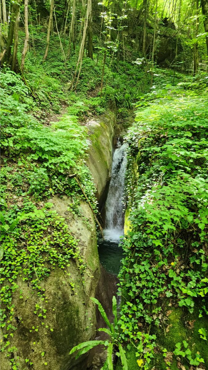 Torrente-Sorna Torrente Sorna