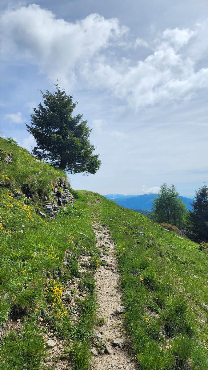 verso-monte-fontanafredda verso il Monte Fontana Fredda