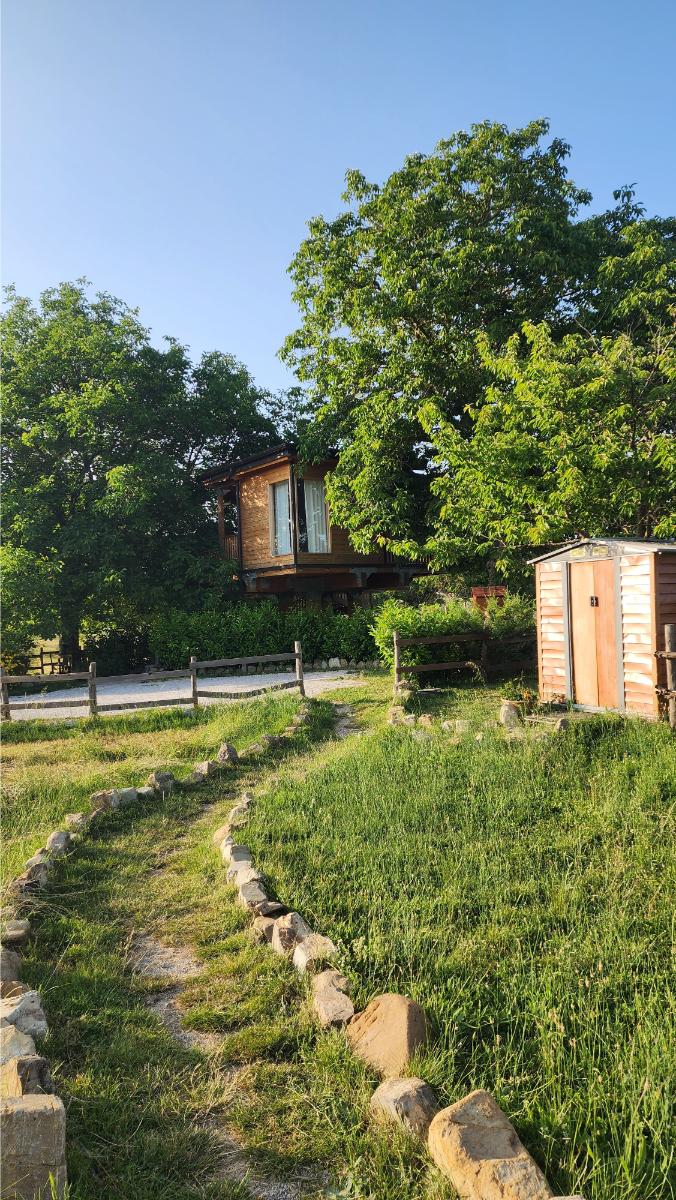 casa-sull-albero casa sull'albero