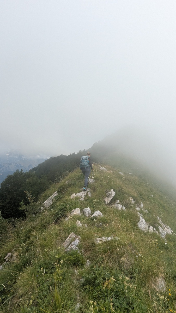 Creste-briniza Creste Briniza