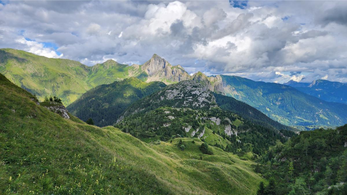 panorama da Pal Piccolo