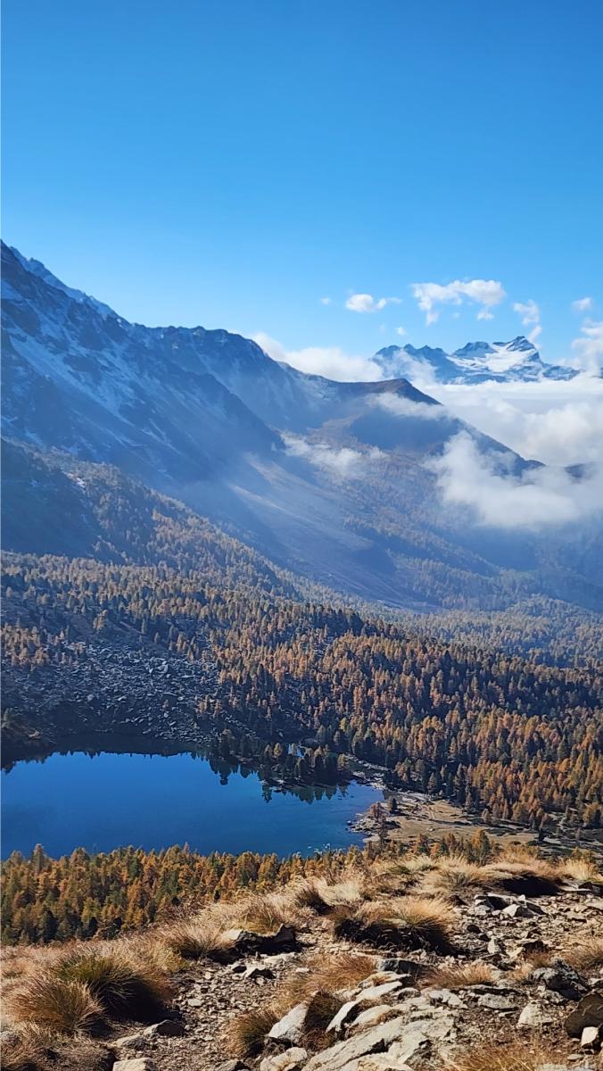 lago-viola Lago Viola