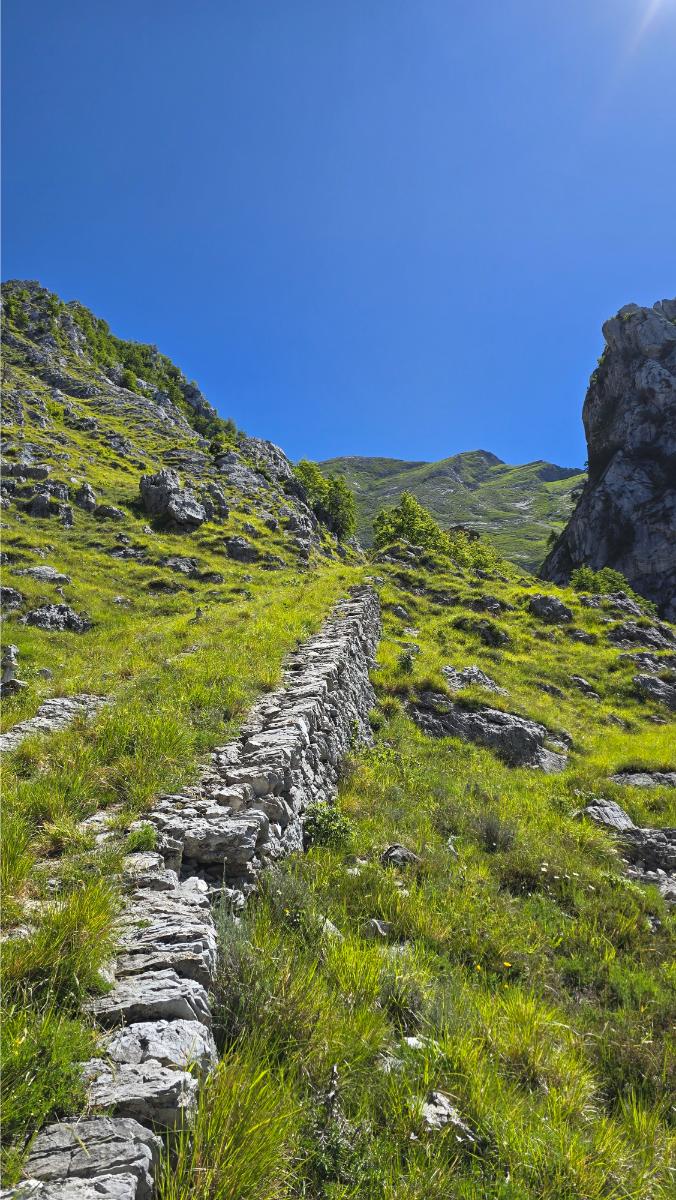 monorotaia-verso-monte-sella