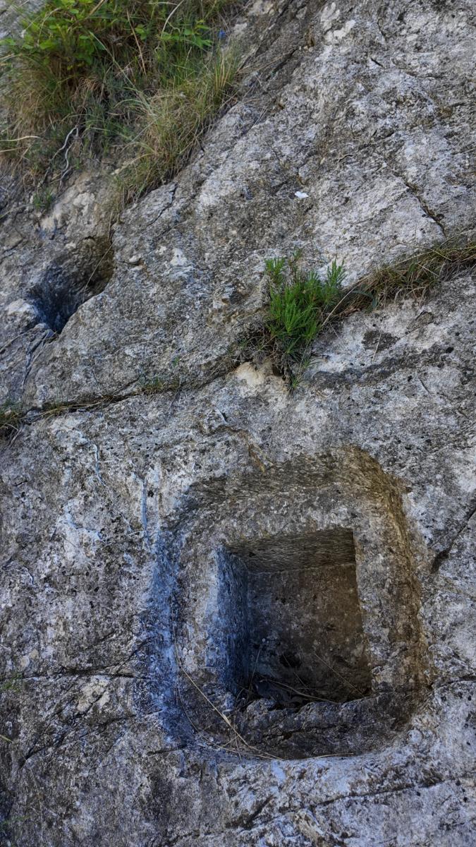 tracce-lizzatura
