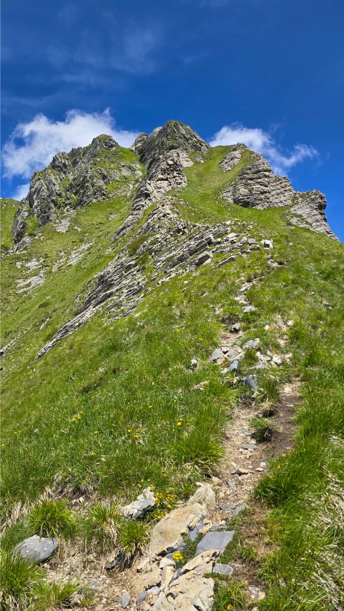 verso-la-cima-del-pisanino verso la cima del Pisanino