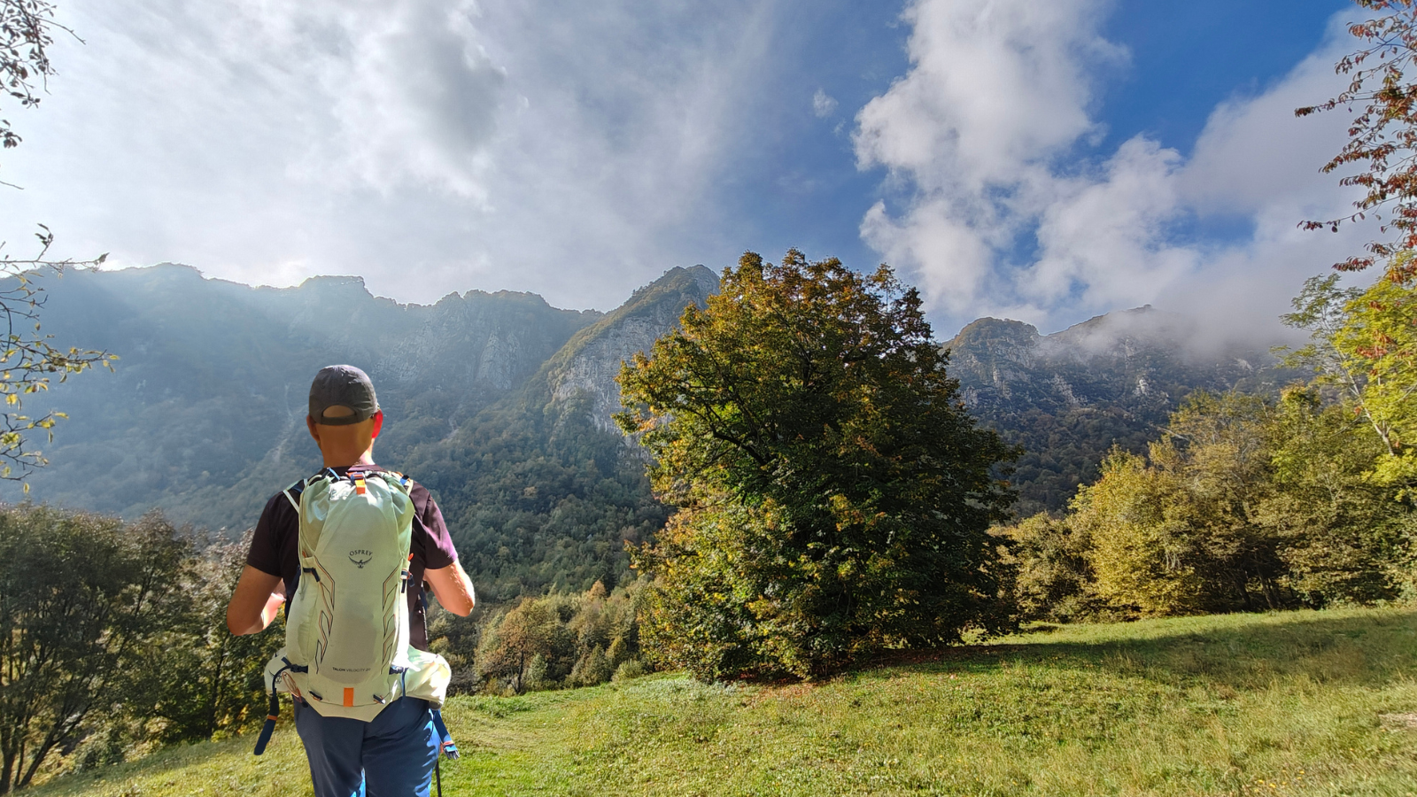 Sentiero dei Grandi Alberi