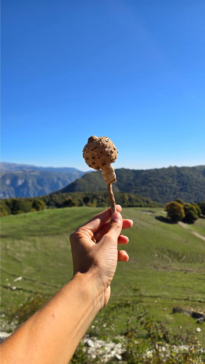 autunno-in-altopiano