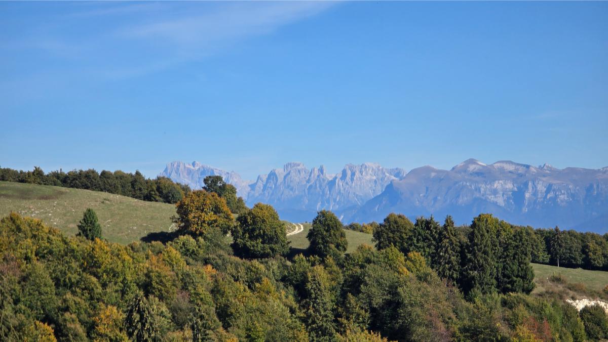 Pale San Martino da 3C