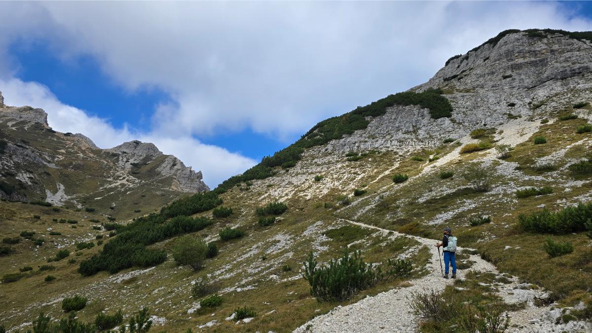 salita verso Cima Carega
