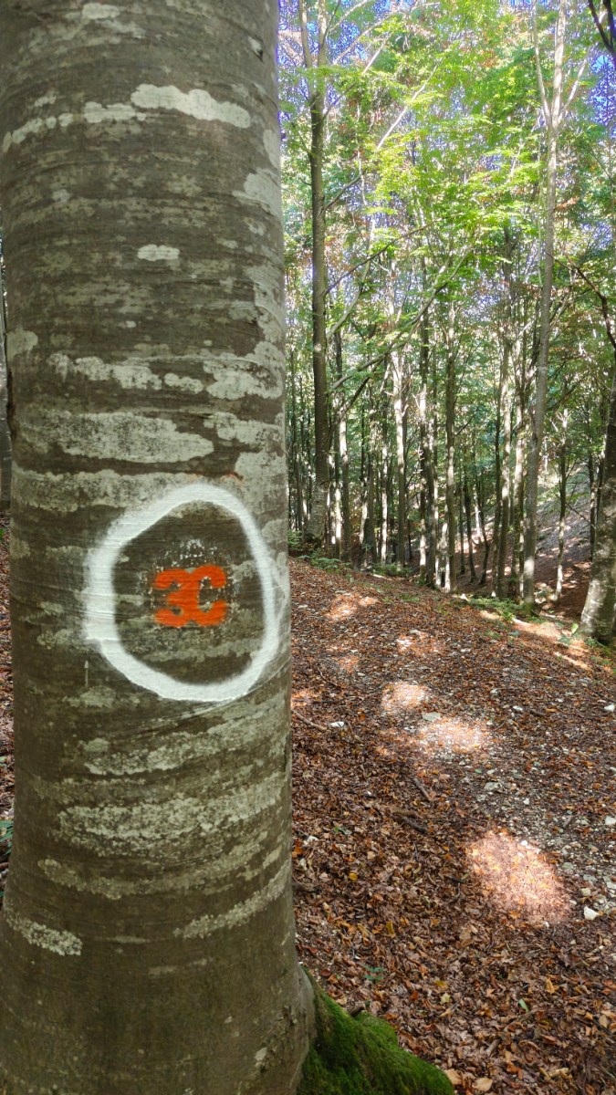 Segnavia del sentiero 3 Confini